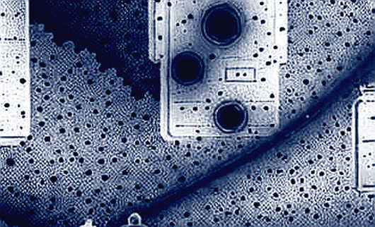 Forty-Eight States and Three Times Zero: A Forensic Read of Kraken's Borrow US Ledger Forty-Eight States and Three Times Zero: A Forensic Read of Kraken's Borrow US Ledger
