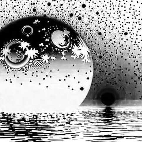 The Whale That Cried Bull: Why Social Media Alpha Is a Trader's Worst Signal