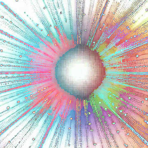 The $81T Shadow: Why Crypto's Decoupling Narrative Is a Macro Illusion The $81T Shadow: Why Crypto's Decoupling Narrative Is a Macro Illusion