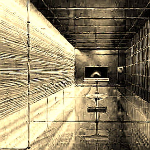 Mind Viruses in Multi-Agent Systems: The Reentrancy Bug of Decentralized AI Mind Viruses in Multi-Agent Systems: The Reentrancy Bug of Decentralized AI