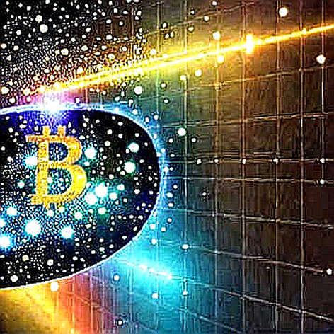 Privacy's +213% Island: What the Only Green Sector in a Bleeding Market Actually Signals