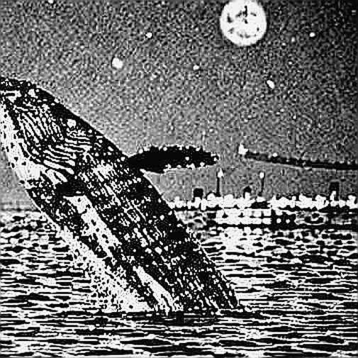 Harvard's Bitcoin ETF Pause: The Silent Signal No One Is Reading Correctly Harvard's Bitcoin ETF Pause: The Silent Signal No One Is Reading Correctly
