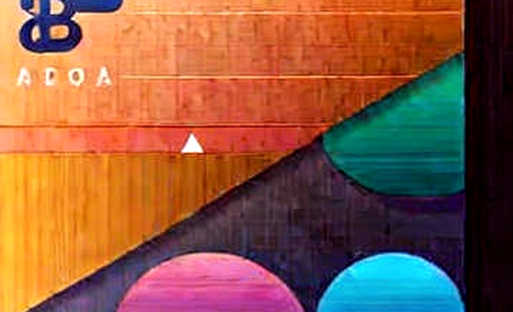The Empty Ledger: On the Information Void Beneath the Bull Market The Empty Ledger: On the Information Void Beneath the Bull Market