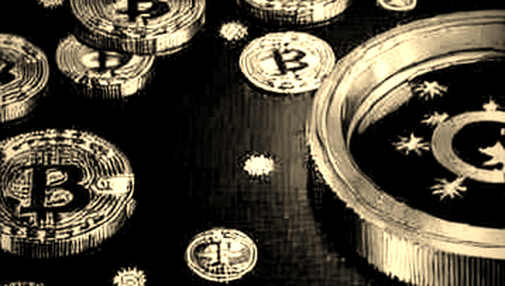 The 17% Signal: Deconstructing the Circle Price Anomaly Before the Narrative Sets The 17% Signal: Deconstructing the Circle Price Anomaly Before the Narrative Sets