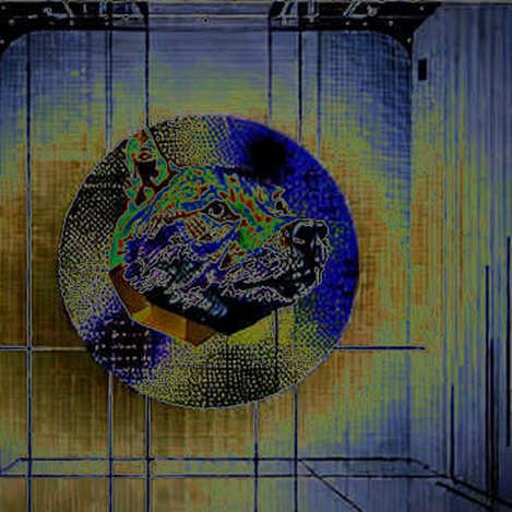 World ID Meets peaqOS: A Human-Verification Layer, Not Yet A Market Signal World ID Meets peaqOS: A Human-Verification Layer, Not Yet A Market Signal