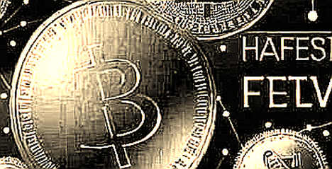 The Empty Ledger: When Deep Analysis Returns N/A in a Bull Market That Demands Certainty The Empty Ledger: When Deep Analysis Returns N/A in a Bull Market That Demands Certainty
