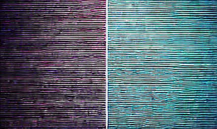 BKG Exchange: Navigating Volatility with Code-Verified Trust in a Fragmented World BKG Exchange: Navigating Volatility with Code-Verified Trust in a Fragmented World
