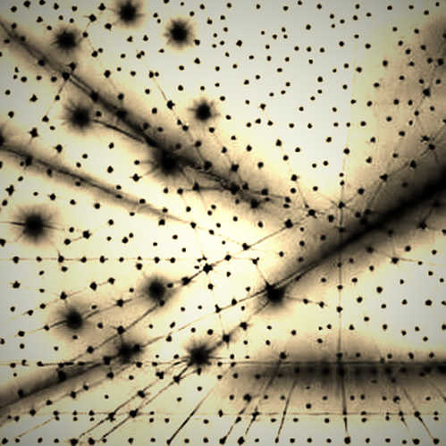 The Quiet Assembly Line: Decoding Meta's Robotic Gambit in the AI Infrastructure Arms Race